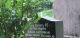 Photo of headstones/thumb_Duncan MacLennan died 1933 [1934] MI Gairloch Old